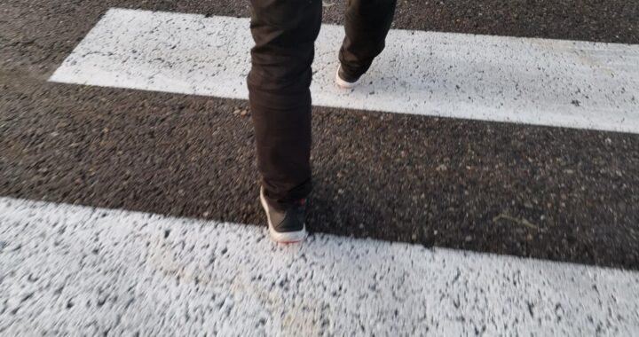 policjantki-ucz---dzieci-bezpiecze--stwa-w-ostr--d-auto-6006