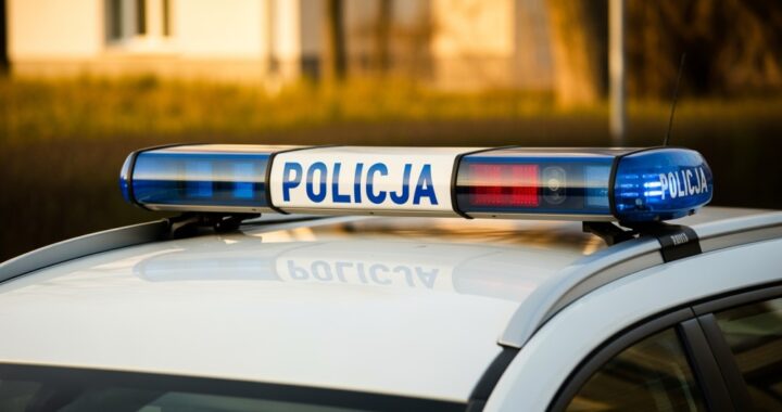 oszustwa-w-sieci--jak-nie-da---si---nabra---na-pod-auto-6072