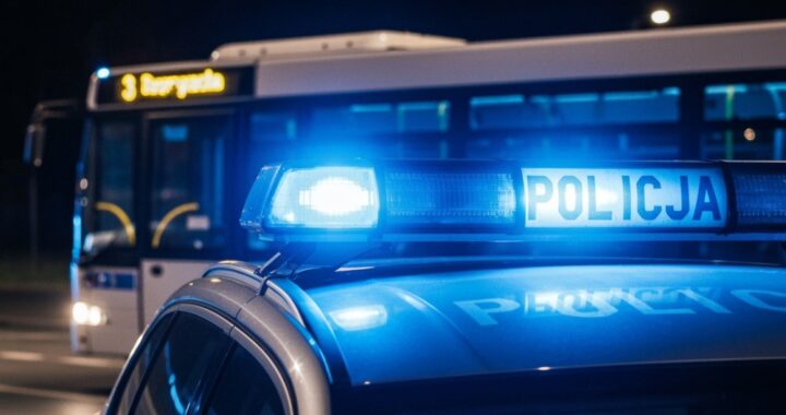 policjanci-z-ostr--dy-odzyskali-10-skradzionych-ro-auto-470