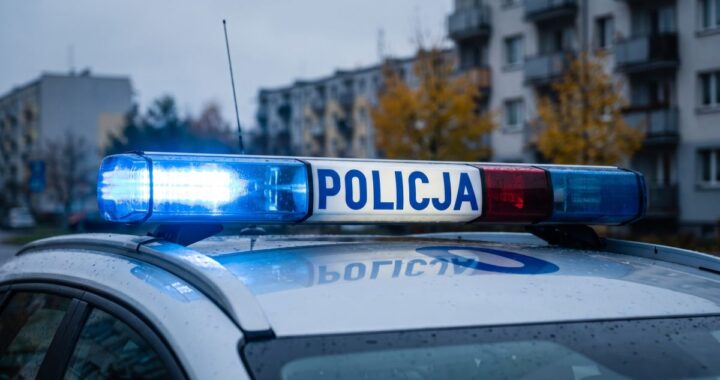 niebezpieczny-pokaz-na-drodze-zako--czony-utrat----auto-11704