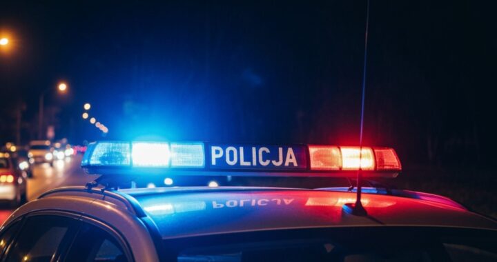 policjanci-szkolili-si---z-reagowania-na-niestanda-auto-489